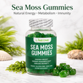 Sea Moss Gummies